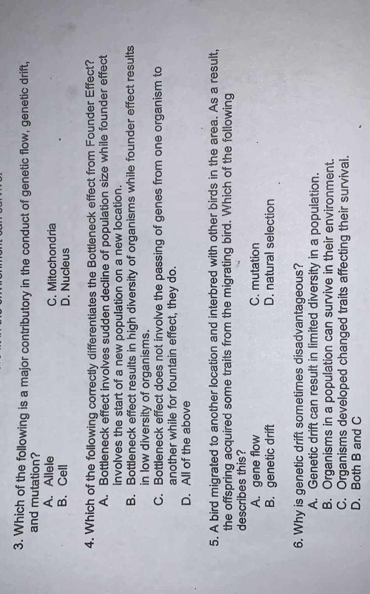 3. Which of the following is a major contributory in the conduct of genetic flow, genetic drift,
and mutation?
A. Allele
B. Cell
C. Mitochondria
D. Nucleus
4. Which of the following correctly differentiates the Bottleneck effect from Founder Effect?
A. Bottleneck effect involves sudden decline of population size while founder effect
involves the start of a new population on a new location.
B. Bottleneck effect results in high diversity of organisms while founder effect results
in low diversity of organisms.
C. Bottleneck effect does not involve the passing of genes from one organism to
another while for fountain effect, they do.
D. All of the above
5. A bird migrated to another location and interbred with other birds in the area. As a result,
the offspring acquired some traits from the migrating bird. Which of the following
describes this?
A. gene flow
B. genetic drift
C. mutation
D. natural selection
6. Why is genetic drift sometimes disadvantageous?
A. Genetic drift can result in limited diversity in a population.
B. Organisms in a population can survive in their environment.
C. Organisms developed changed traits affecting their survival.
D. Both B and C
