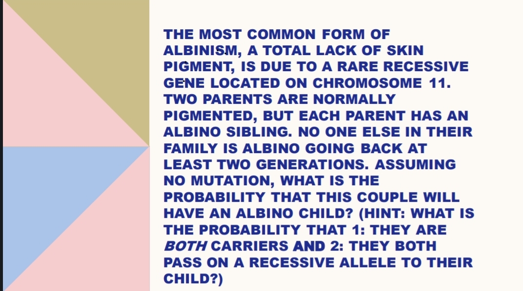 THE MOST COMMON FORM OF
ALBINISM, A TOTAL LACK OF SKIN
PIGMENT, IS DUE TO A RARE RECESSIVE
GENE LOCATED ON CHROMOSOME 11.
TWO PARENTS ARE NORMALLY
PIGMENTED, BUT EACH PARENT HAS AN
ALBINO SIBLING. NO ONE ELSE IN THEIR
FAMILY IS ALBINO GOING BACK AT
LEAST TWO GENERATIONS. ASSUMING
NO MUTATION, WHAT IS THE
PROBABILITY THAT THIS COUPLE WILL
HAVE AN ALBINO CHILD? (HINT: WHAT IS
THE PROBABILITY THAT 1: THEY ARE
BOTH CARRIERS AND 2: THEY BOTH
PASS ON A RECESSIVE ALLELE TO THEIR
CHILD?)