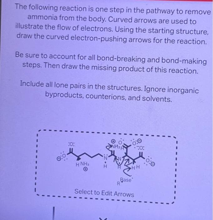 The following reaction is one step in the pathway to remove
ammonia from the body. Curved arrows are used to
illustrate the flow of electrons. Using the starting structure,
draw the curved electron-pushing arrows for the reaction.
Be sure to account for all bond-breaking and bond-making
steps. Then draw the missing product of this reaction.
Include all lone pairs in the structures. Ignore inorganic
byproducts, counterions, and solvents.
0:0
:0:
HNH₂
0:0
HH
Base
:O:
R
Select to Edit Arrows