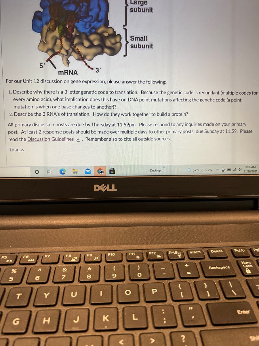 Large
subunlt
Small
subunit
5'
MRNA
3'
For our Unit 12 discussion on gene expression, please answer the following:
1. Describe why there is a 3 letter genetic code to translation. Because the genetic code is redundant (multiple codes for
every amino acid), what implication does this have on DNA point mutations affecting the genetic code (a point
mutation is when one base changes to another)?
2. Describe the 3 RNA's of translation. How do they work together to build a protein?
All primary discussion posts are due by Thursday at 11:59pm. Please respond to any inquiries made on your primary
post. At least 2 response posts should be made over multiple days to other primary posts, due Sunday at 11:59. Please
read the Discussion Guidelines . Remember also to cite all outside sources.
Thanks.
8:26 AM
Desktop
57°F Cloudy
11/10/2021
DELL
Delete
PgUp
Pg
F12
PrtScr
Insert
F10
F11
F5
F6
F7
F8
F9
*:
of
Num
Lock
Backspace
&
6
Y
Enter
G
H
J
K
