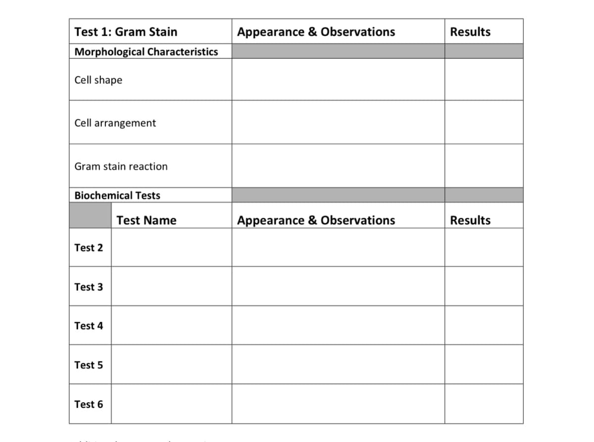 Test 1: Gram Stain
Appearance & Observations
Results
Morphological Characteristics
Cell shape
Cell arrangement
Gram stain reaction
Biochemical Tests
Test Name
Appearance & Observations
Results
Test 2
Test 3
Test 4
Test 5
Test 6
