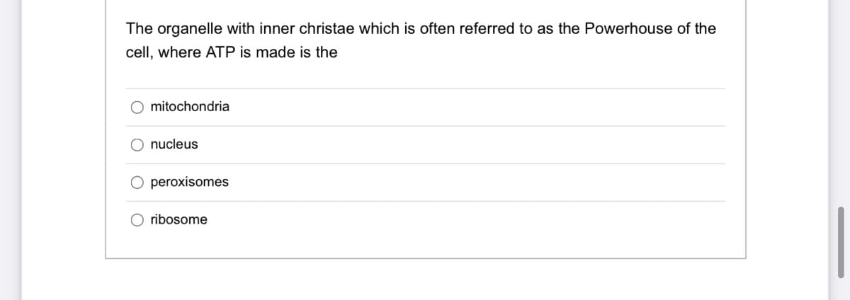 The organelle with inner christae which is often referred to as the Powerhouse of the
cell, where ATP is made is the
O mitochondria
O nucleus
peroxisomes
O ribosome
