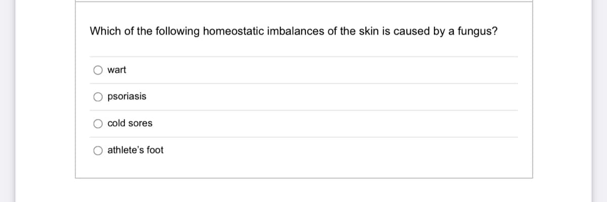 Which of the following homeostatic imbalances of the skin is caused by a fungus?
O wart
psoriasis
O cold sores
O athlete's foot
