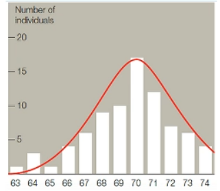 Number of
individuals
- 20
- 15
10
-5
63 64 65 66 67 68 69 70 71 72 73 74
