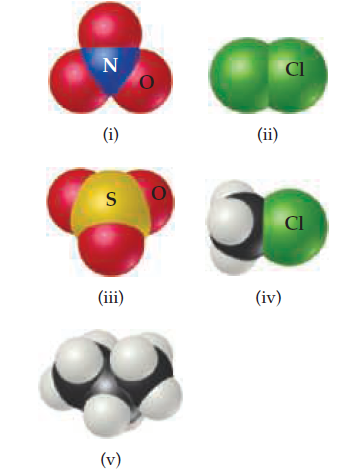 CI
(i)
(ii)
CI
(iii)
(iv)
(v)
