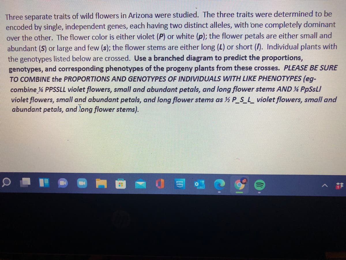 Three separate traits of wild flowers in Arizona were studied. The three traits were determined to be
encoded by single, independent genes, each having two distinct alleles, with one completely dominant
over the other. The flower color is either violet (P) or white (p); the flower petals are either small and
abundant (S) or large and few (s); the flower stems are either long (L) or short (/). Individual plants with
the genotypes listed below are crossed. Use a branched diagram to predict the proportions,
genotypes, and corresponding phenotypes of the progeny plants from these crosses. PLEASE BE SURE
TO COMBINE the PROPORTIONS AND GENOTYPES OF INDIVIDUALS WITH LIKE PHENOTYPES (eg-
combine % PPSSLL violet flowers, small and abundant petals, and long flower stems AND ¼ PPSSLI
violet flowers, small and abundant petals, and long flower stems as ½ P_S_L_ violet flowers, small and
abundant petals, and long flower stems).
