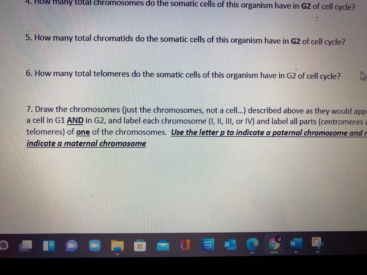 4. HoW Mahy total chromosomes do the somatic cells of this organism have in G2 of cell cycle?
5. How many total chromatids do the somatic cells of this organism have in G2 of cell cycle?
6. How many total telomeres do the somatic cells of this organism have in G2 of cell cycle?
7. Draw the chromosomes (just the chromosomes, not a cell.) described above as they would appe
a cell in G1 AND in G2, and label each chromosome (I, II, III, or IV) and label all parts (centromeres a
telomeres) of one of the chromosomes. Use the letter p to indicate a paternal chromosome and n
indicate a maternal chromosome
prime
videg
