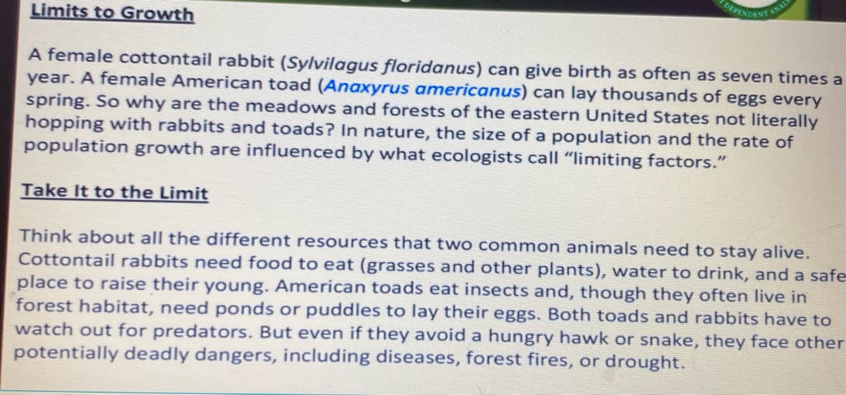 DEPENDENT ANALY
Limits to Growth
A female cottontail rabbit (Sylvilagus floridanus) can give birth as often as seven times a
year. A female American toad (Anaxyrus americanus) can lay thousands of eggs every
spring. So why are the meadows and forests of the eastern United States not literally
hopping with rabbits and toads? In nature, the size of a population and the rate of
population growth are influenced by what ecologists call "limiting factors."
Take It to the Limit
Think about all the different resources that two common animals need to stay alive.
Cottontail rabbits need food to eat (grasses and other plants), water to drink, and a safe
place to raise their young. American toads eat insects and, though they often live in
forest habitat, need ponds or puddles to lay their eggs. Both toads and rabbits have to
watch out for predators. But even if they avoid a hungry hawk or snake, they face other
potentially deadly dangers, including diseases, forest fires, or drought.
