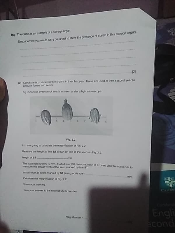 (b) The carrot is an example of a storage organ
Describe how you would carry out a test to show the presence of starch in this storage organ.
[2]
(c) Carrot plants produce storage organs in their first year. These are used in their second year to
produce flowers and seeds
Fig 2.2 shows three carrot seeds as seen under a light microscope.
Fig. 2.2
You are going to calculate the magnification of Fig. 2.2.
Measure the length of line ST drawn on one of the seeds in Fig. 2.2.
length of ST
mm
The scale nule shows 10mm, divided into 100 divisions, each of 0.1 mm. Use the scale rule to
measure the actual width of the seed marked by line ST
actual width of seed, marked by ST (using scale rule).
Calculate the magnification of Fig. 2.2.
Show your working
Give your answer to the nearest whole number
mm
CAMBR
magnification
Cambrid
Engli
econd