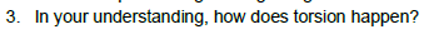 3. In your understanding, how does torsion happen?