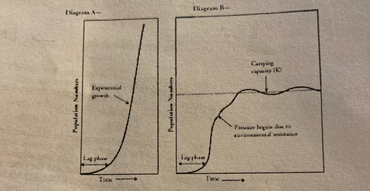 Diageam A-
Disgram B-
Carying
aparits IK
l'iesaure hegita Jue 1s
megl bry
Lag phae
Population Namkers
Papulatios Naben
