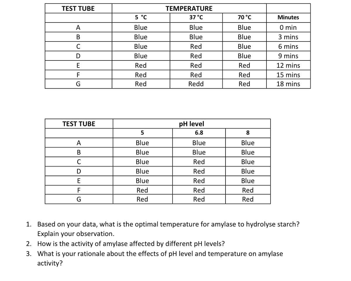 TEST TUBE
TEMPERATURE
5 °C
37 °C
70 °C
Minutes
A
Blue
Blue
Blue
O min
В
Blue
Blue
Blue
3 mins
6 mins
9 mins
C
Blue
Red
Blue
D
Blue
Red
Blue
E
Red
Red
Red
12 mins
F
Red
Red
Red
15 mins
G
Red
Redd
Red
18 mins
TEST TUBE
pH level
6.8
8
A
Blue
Blue
Blue
В
Blue
Blue
Blue
C
Blue
Red
Blue
Blue
Red
Blue
E
Blue
Red
Blue
Red
Red
Red
Red
Red
Red
1. Based on your data, what is the optimal temperature for amylase to hydrolyse starch?
Explain your observation.
2. How is the activity of amylase affected by different pH levels?
3. What is your rationale about the effects of pH level and temperature on amylase
activity?
