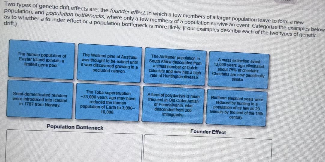 Two types of genetic drift effects are: the founder effect, in which a few members of a larger population leave to form a new
population, and population bottlenecks, where only a few members of a population survive an event. Categorize the examples below
as to whether a founder effect or a population bottleneck is more likely. (Four examples describe each of the two types of genetic
drift)
The human population of
Easter Island exhibits a
limited gene pool.
The Wollemi pine of Australia
was thought to be extinct until
it was discovered growing in a
secluded canyon.
The Afrikaner population in
South Africa descended from
a small number of Dutch
colonists and now has a high
rate of Huntington disease.
A mass extinction event
12,000 years ago eliminated
about 75% of cheetahs.
Cheetahs are now genetically
similar
Semi-domesticated reindeer
were introduced into Iceland
in 1787 from Norway.
The Toba supereruption
~73,000 years ago may have
reduced the human
population of Earth to 3,000-
10,000.
Population Bottleneck
A form of polydactyly is more
frequent in Old Order Amish
of Pennsylvania, who
descended from 200
immigrants
Northern elephant seals were
reduced by hunting to a
population of as few as 20
animals by the end of the 19th
century
Founder Effect