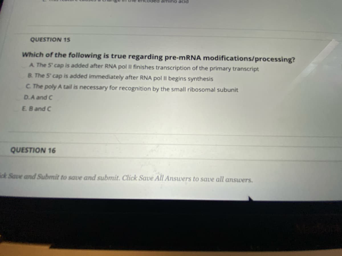 Ppe ouiuue pa
QUESTION 15
Which of the following is true regarding pre-mRNA modifications/processing?
A The 5 cap is added after RNA pol II finishes transcription of the primary transcript
B. The 5 cap is added immediately after RNA pol II begins synthesis
C. The poly A tail is necessary for recognition by the small ribosomal subunit
D.A and C
E B and C
QUESTION 16
k Save and Submit to save and submit. Click Save All Answers to save all answers.
