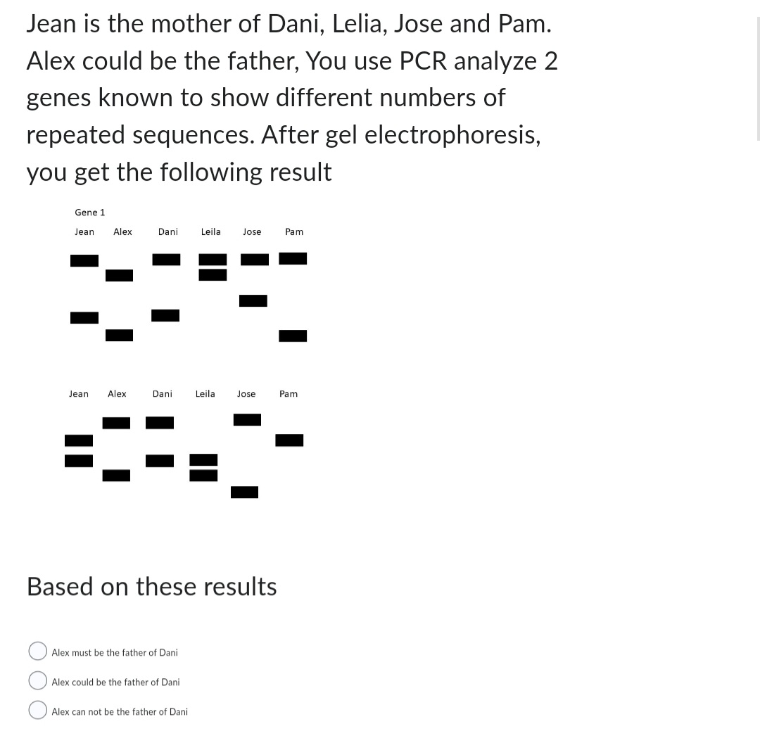 Jean is the mother of Dani, Lelia, Jose and Pam.
Alex could be the father, You use PCR analyze 2
genes known to show different numbers of
repeated sequences. After gel electrophoresis,
you get the following result
Gene 1
Jean Alex
Jean Alex
Dani Leila Jose Pam
Dani
Based on these results
Alex must be the father of Dani
Alex could be the father of Dani
Leila Jose
Alex can not be the father of Dani
Pam
