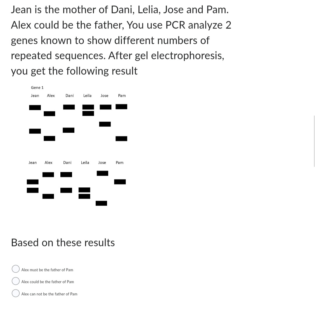 Jean is the mother of Dani, Lelia, Jose and Pam.
Alex could be the father, You use PCR analyze 2
genes known to show different numbers of
repeated sequences. After gel electrophoresis,
you get the following result
Gene 1
Jean Alex
Dani Leila Jose
29
Jean
Alex
Danil Leila Jose
Based on these results
Alex must be the father of Pam
Alex could be the father of Pam
Alex can not be the father of Pam
Pam
Pam