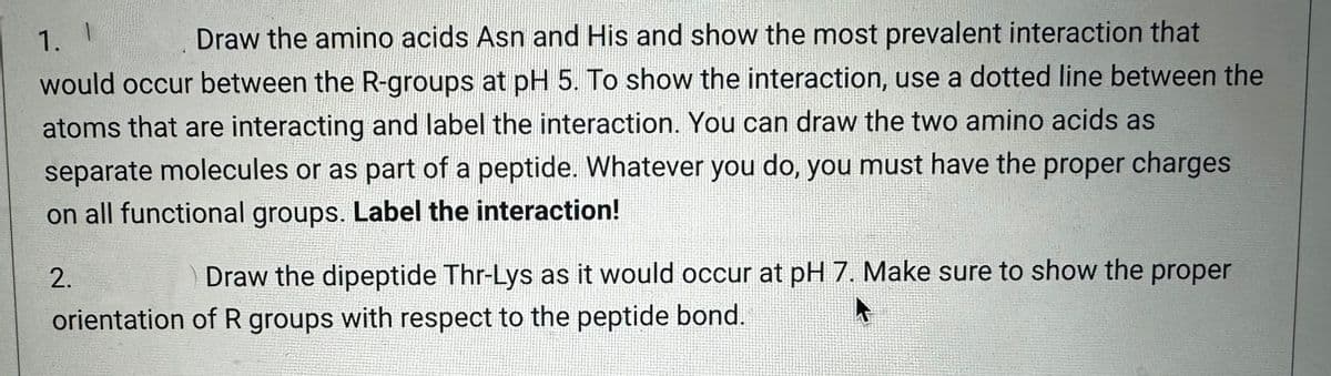 1. I
Draw the amino acids Asn and His and show the most prevalent interaction that
would occur between the R-groups at pH 5. To show the interaction, use a dotted line between the
atoms that are interacting and label the interaction. You can draw the two amino acids as
separate molecules or as part of a peptide. Whatever you do, you must have the proper charges
on all functional groups. Label the interaction!
Draw the dipeptide Thr-Lys as it would occur at pH 7. Make sure to show the proper
orientation of R groups with respect to the peptide bond.
2.