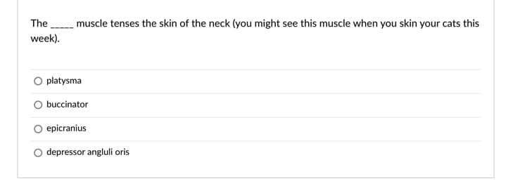 The muscle tenses the skin of the neck (you might see this muscle when you skin your cats this
week).
O platysma
O buccinator
epicranius
depressor angluli oris
