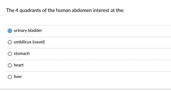The 4 quadrants of the human abdomen interest at the:
urinary bladder
O umbilicus (navel)
stomach
heart
liver
