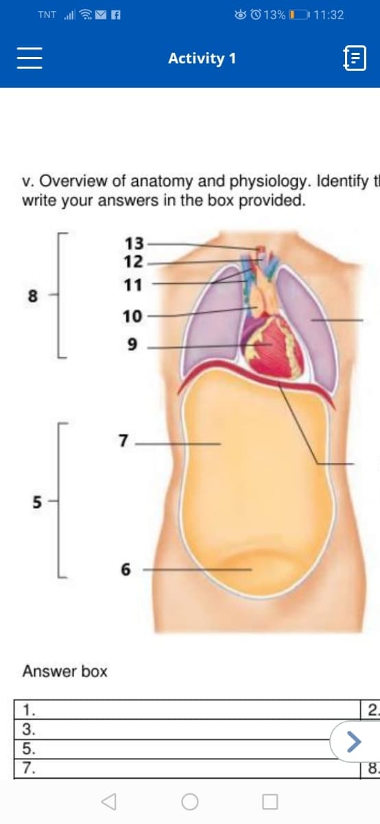 TNT l EM A
O 013% D 11:32
Activity 1
v. Overview of anatomy and physiology. Identify t
write your answers in the box provided.
13
12
11
10
9
7
Answer box
1.
2.
>
5.
7.
8.
5.
357
