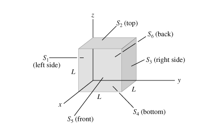 S2 (top)
S6 (back)
S-
(left side)
S3 (right side)
y
L
S4 (bottom)
S5 (front)
