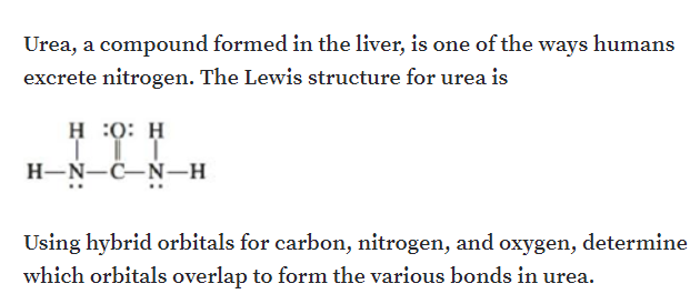 Urea, a compound formed in the liver, is one of the ways humans
excrete nitrogen. The Lewis structure for urea is
н 0: н
H-N-C-N–H
Using hybrid orbitals for carbon, nitrogen, and oxygen, determine
which orbitals overlap to form the various bonds in urea.
