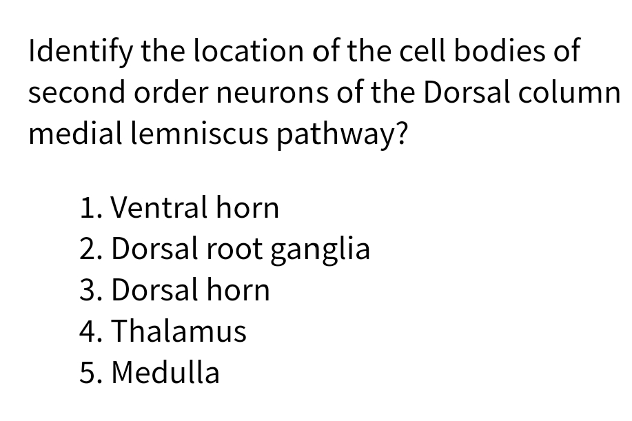 Identify the location of the cell bodies of
second order neurons of the Dorsal column
medial lemniscus pathway?
1. Ventral horn
2. Dorsal root ganglia
3. Dorsal horn
4. Thalamus
5. Medulla
