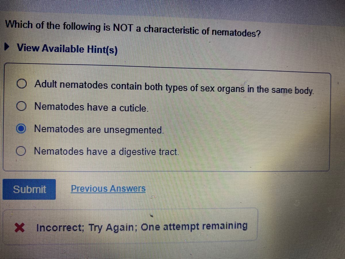 Which of the following is NOT a characteristic of nematodes?
► View Available Hint(s)
O Adult nematodes contain both types of sex organs in the same body.
Nematodes have a cuticle.
Nematodes are unsegmented.
Nematodes have a digestive tract.
Submit
Previous Aswers
X Incorrect; Try Again; One attempt remaining
