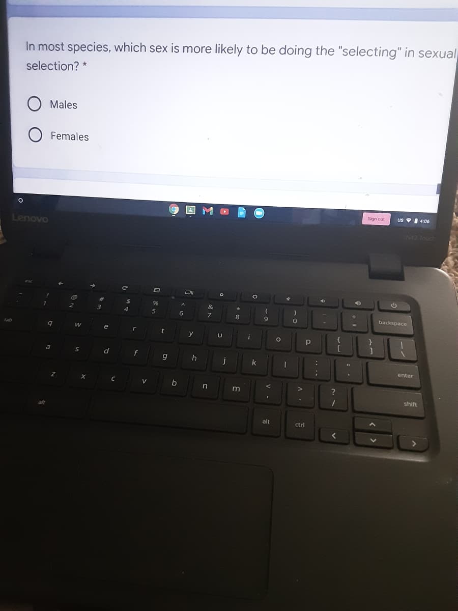In most species, which sex is more likely to be doing the "selecting" in sexual
selection? *
Males
Females
Sign out
US I 4:06
Lenovo
N42 Touch
DI
96
&
4
5
6
7
8
backspace
e
d
f
k
enter
C
V
in
m
shift
alt
ctrl
