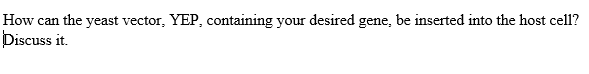 How can the yeast vector, YEP, containing your desired gene, be inserted into the host cell?
Discuss it.