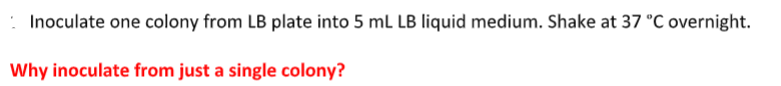 Inoculate one colony from LB plate into 5 mL LB liquid medium. Shake at 37 °C overnight.
Why inoculate from just a single colony?