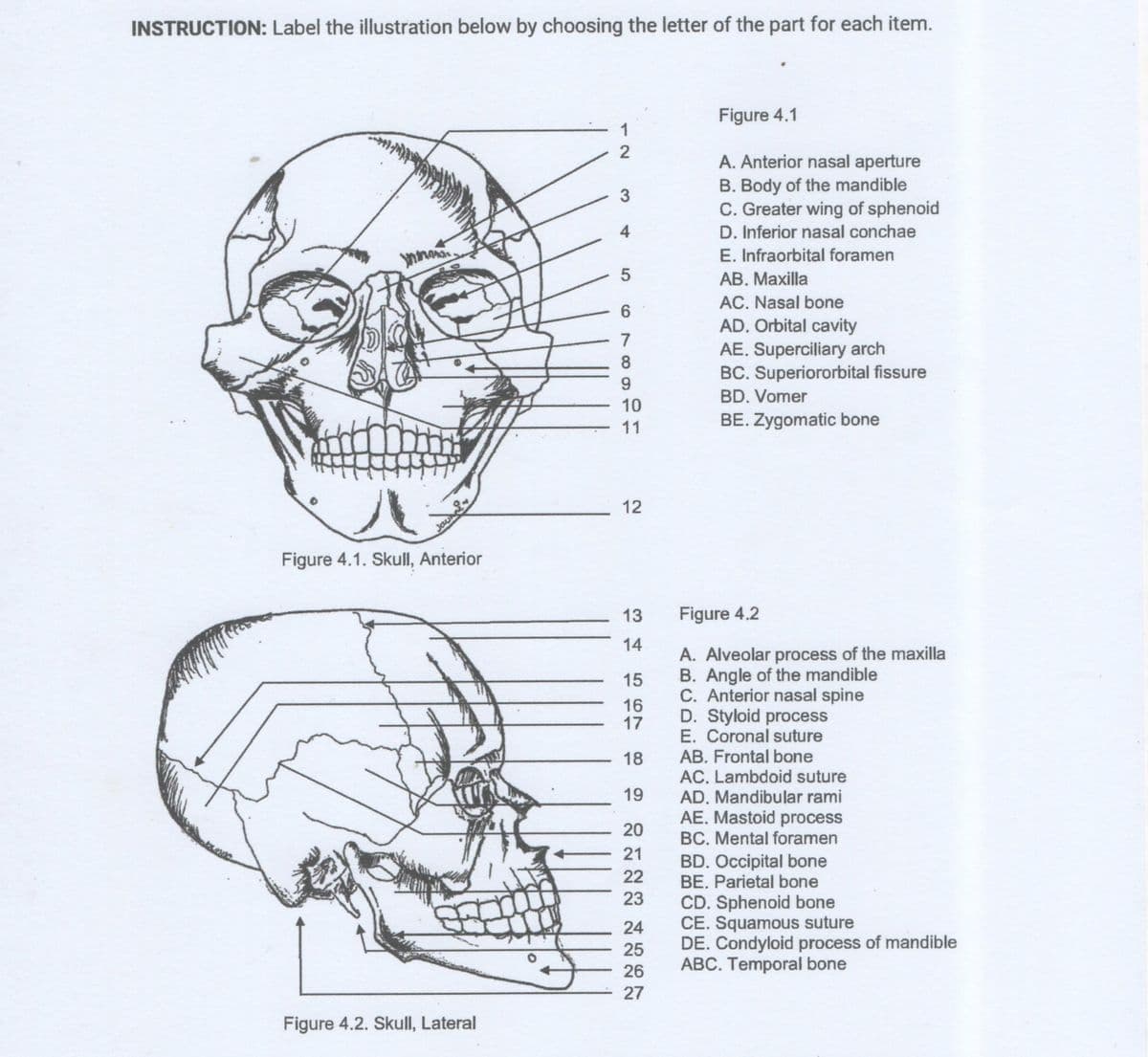 INSTRUCTION: Label the illustration below by choosing the letter of the part for each item.
Figure 4.1
1
2
A. Anterior nasal aperture
B. Body of the mandible
C. Greater wing of sphenoid
D. Inferior nasal conchae
3
E. Infraorbital foramen
AB. Maxilla
AC. Nasal bone
AD. Orbital cavity
AE. Superciliary arch
BC. Superiororbital fissure
7
8
BD. Vomer
10
11
BE. Zygomatic bone
12
Figure 4.1. Skull, Anterior
13
Figure 4.2
14
A. Alveolar process of the maxilla
B. Angle of the mandible
C. Anterior nasal spine
D. Styloid process
E. Coronal suture
AB. Frontal bone
AC. Lambdoid suture
AD. Mandibular rami
AE. Mastoid process
15
16
17
18
19
20
BC. Mental foramen
21
BD. Occipital bone
BE. Parietal bone
22
23
CD. Sphenoid bone
CE. Squamous suture
DE. Condyloid process of mandible
ABC. Temporal bone
24
25
26
27
Figure 4.2. Skull, Lateral
4-
