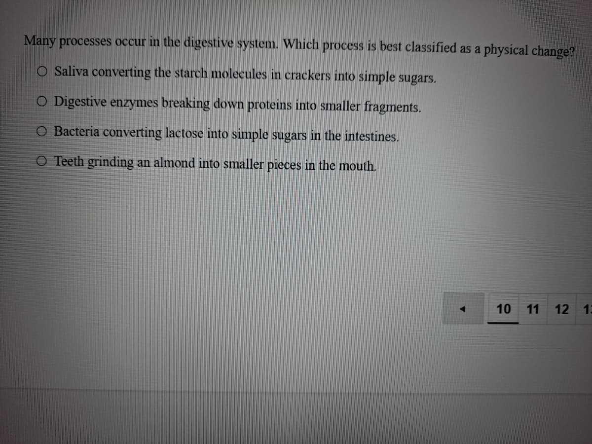 Many processes occur in the digestive system. Which process is best classified as a physical change?
Saliva converting the starch molecules in crackers into simple sugars.
O Digestive enzymes breaking down proteins into smaller fragments.
O Bacteria converting lactose into simple sugars in the intestines.
O Teeth grinding an almond into smaller pieces in the mouth.
10
11
12 13
