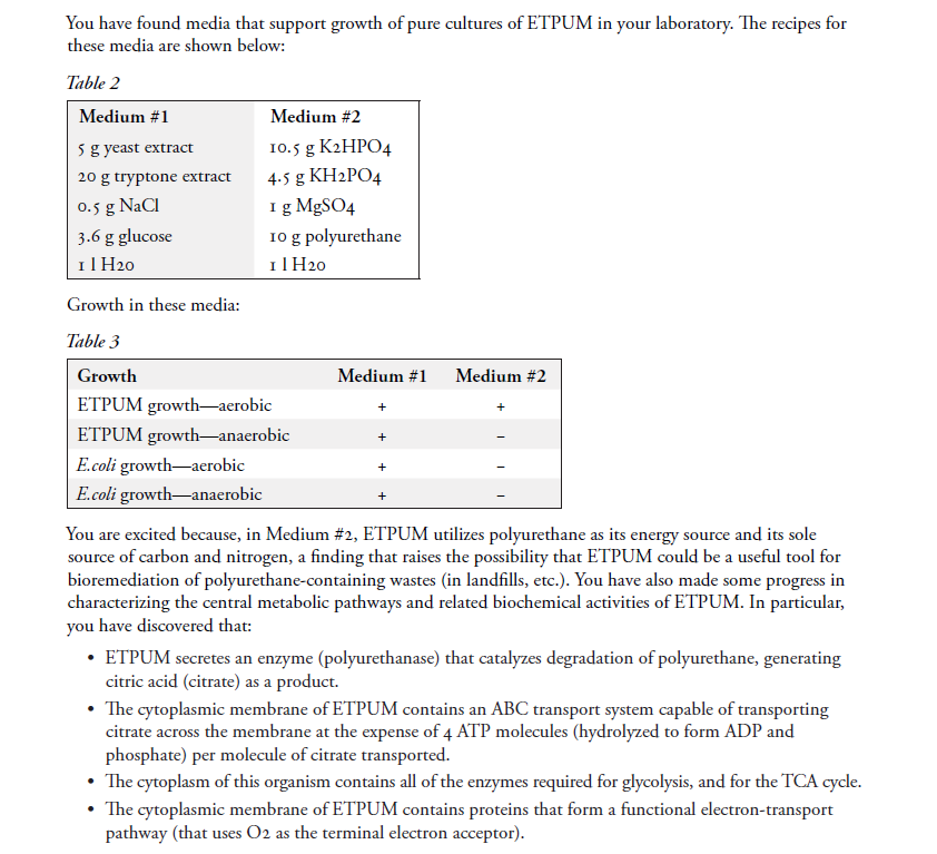 You have found media that support growth of pure cultures of ETPUM in your laboratory. The recipes for
these media are shown below:
Table 2
Medium #1
Medium #2
5 g yeast extract
10.5 g K HΡΟ4
20 g tryptone extract
4-5 g KH2PO4
I g MgSO4
10 g polyurethane
Il H20
0.5 g NaCl
3.6 g glucose
Il H20
Growth in these media:
Table 3
Growth
Medium #1
Medium #2
ETPUM growth-aerobic
+
ETPUM growth-anaerobic
E.coli growth-aerobic
+
E.coli growth-anaerobic
You are excited because, in Medium #2, ETPUM utilizes polyurethane as its energy source and its sole
source of carbon and nitrogen, a finding that raises the possibility that ETPUM could be a useful tool for
bioremediation of polyurethane-containing wastes (in landfills, etc.). You have also made some progress in
characterizing the central metabolic pathways and related biochemical activities of ETPUM. In particular,
you have discovered that:
• ETPUM secretes an enzyme (polyurethanase) that catalyzes degradation of polyurethane, generating
citric acid (citrate) as a product.
• The cytoplasmic membrane of ETPUM contains an ABC transport system capable of transporting
citrate across the membrane at the expense of 4 ATP molecules (hydrolyzed to form ADP and
phosphate) per molecule of citrate transported.
• The cytoplasm of this organism contains all of the enzymes required for glycolysis, and for the TCA cycle.
• The cytoplasmic membrane of ETPUM contains proteins that form a functional electron-transport
pathway (that uses O2 as the terminal electron acceptor).
