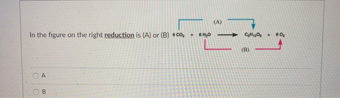 In the figure on the right reduction is (A) or (B) 6CO₂ + 6H₂0
O
A
B
(A)
CH120 60₂
(B)