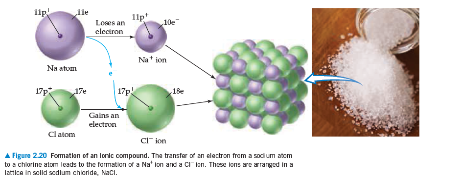 11p
1le
11p+
10e
Loses an
electron
Na+ ion
Na atom
17p
17e
|17pt
18e-
Gains an
electron
Cl atom
Cl- ion
A Figure 2.20 Formatlon of an lonic compound. The transfer of an electron from a sodium atom
to a chlorine atom leads to the formation of a Na* ion and a CI" ion. These ions are arranged in a
lattice in solid sodium chloride, NaCi.
