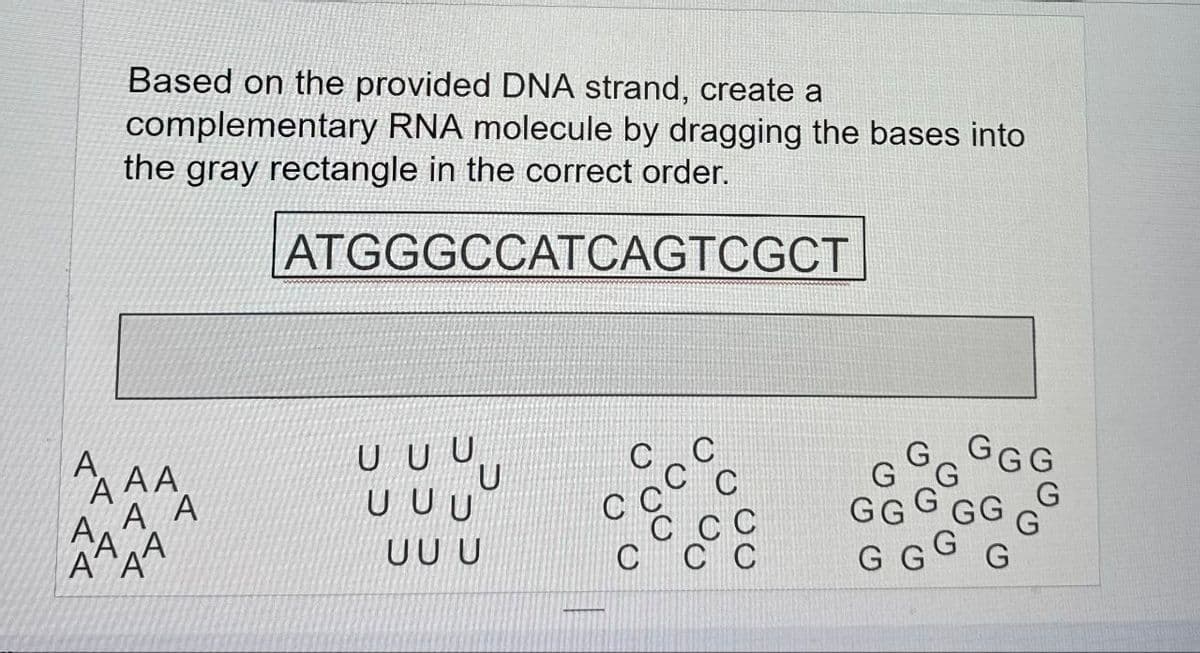 A
Based on the provided DNA strand, create a
complementary RNA molecule by dragging the bases into
the gray rectangle in the correct order.
ATGGGCCATCAGTCGCT
A
AAA
A A
1시
스스
UUU
U
G
GGG
G
UUU
C
GGGGG
G
G
UU U
G