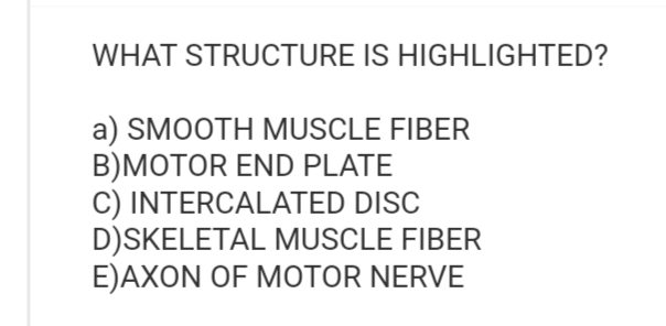 WHAT STRUCTURE IS HIGHLIGHTED?
a) SMOOTH MUSCLE FIBER
B)MOTOR END PLATE
C) INTERCALATED DISC
D)SKELETAL MUSCLE FIBER
E)AXON OF MOTOR NERVE