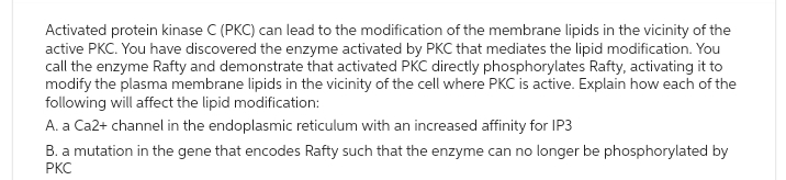 Activated protein kinase C (PKC) can lead to the modification of the membrane lipids in the vicinity of the
active PKC. You have discovered the enzyme activated by PKC that mediates the lipid modification. You
call the enzyme Rafty and demonstrate that activated PKC directly phosphorylates Rafty, activating it to
modify the plasma membrane lipids in the vicinity of the cell where PKC is active. Explain how each of the
following will affect the lipid modification:
A. a Ca2+ channel in the endoplasmic reticulum with an increased affinity for IP3
B. a mutation in the gene that encodes Rafty such that the enzyme can no longer be phosphorylated by
PKC