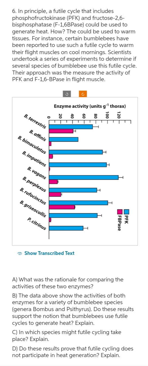 6. In principle, a futile cycle that includes
phosphofructokinase (PFK) and fructose-2,6-
bisphosphatase (F-1,6BPase) could be used to
generate heat. How? The could be used to warm
tissues. For instance, certain bumblebees have
been reported to use such a futile cycle to warm
their flight muscles on cool mornings. Scientists
undertook a series of experiments to determine if
several species of bumblebee use this futile cycle.
Their approach was the measure the activity of
PFK and F-1,6-BPase in flight muscle.
Enzyme activity (units g₁¹ thorax)
B. terrestris
B. affinis
B. bimaculatus
B. impatiens
B. vagans
B. perplexus
B. rufocinctus
B. griseocollis
P. citrinus
Show Transcribed Text
☐ PFK
FBPase
A) What was the rationale for comparing the
activities of these two enzymes?
B) The data above show the activities of both
enzymes for a variety of bumblebee species
(genera Bombus and Psithyrus). Do these results
support the notion that bumblebees use futile
cycles to generate heat? Explain.
C) In which species might futile cycling take
place? Explain.
D) Do these results prove that futile cycling does
not participate in heat generation? Explain.