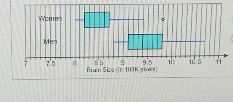 Women
Men
7 7.5
-8
8.5
9
9.5
Brain Size (in 100K pixels)
O
10
10.5
11