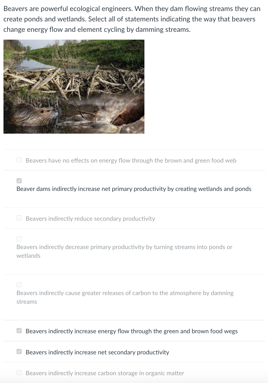 Beavers are powerful ecological engineers. When they dam flowing streams they can
create ponds and wetlands. Select all of statements indicating the way that beavers
change energy flow and element cycling by damming streams.
CLIMASE ATAPLAR FORM
Beavers have no effects on energy flow through the brown and green food web
Beaver dams indirectly increase net primary productivity by creating wetlands and ponds
Beavers indirectly reduce secondary productivity
Beavers indirectly decrease primary productivity by turning streams into ponds or
wetlands
Beavers indirectly cause greater releases of carbon to the atmosphere by damning
streams
Beavers indirectly increase energy flow through the green and brown food wegs
Beavers indirectly increase net secondary productivity
Beavers indirectly increase carbon storage in organic matter