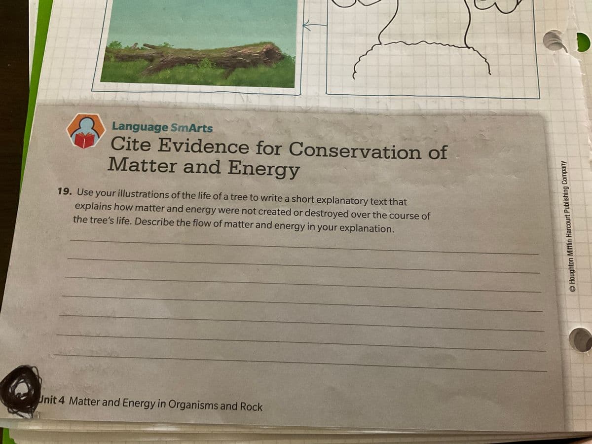 Language SmArts
Cite Evidence for Conservation of
Matter and Energy
19. Use your illustrations of the life of a tree to write a short explanatory text that
explains how matter and energy were not created or destroyed over the course of
the tree's life. Describe the flow of matter and energy in your explanation.
Unit 4 Matter and Energy in Organisms and Rock
O Houghton Mifflin Harcourt Publishing Company