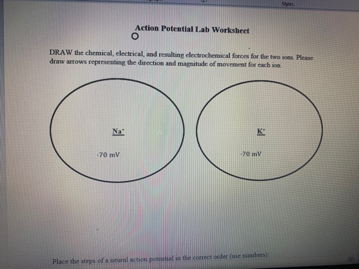 Nat
Action Potential Lab Worksheet
DRAW the chemical, electrical, and resulting electrochemical forces for the two ions. Please
draw arrows representing the direction and magnitude of movement for each ion.
-70 mV
Kt
-70 mV
Styles
Place the steps of a neural action potential in the correct order (use numbers):