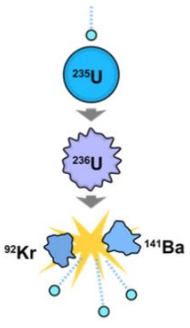 235U
236U
141BA
92Kr
....
