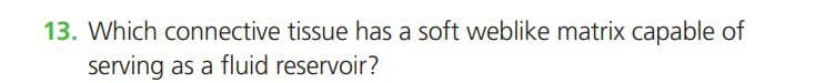 13. Which connective tissue has a soft weblike matrix capable of
serving as a fluid reservoir?
