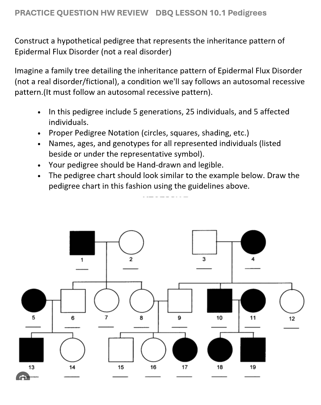 PRACTICE QUESTION HW REVIEW DBQ LESSON 10.1 Pedigrees
Construct a hypothetical pedigree that represents the inheritance pattern of
Epidermal Flux Disorder (not a real disorder)
Imagine a family tree detailing the inheritance pattern of Epidermal Flux Disorder
(not a real disorder/fictional), a condition we'll say follows an autosomal recessive
pattern.(It must follow an autosomal recessive pattern).
•
•
•
•
•
In this pedigree include 5 generations, 25 individuals, and 5 affected
individuals.
Proper Pedigree Notation (circles, squares, shading, etc.)
Names, ages, and genotypes for all represented individuals (listed
beside or under the representative symbol).
Your pedigree should be Hand-drawn and legible.
The pedigree chart should look similar to the example below. Draw the
pedigree chart in this fashion using the guidelines above.
2
5
6
8
9
10
11
12
о
13
14
15
16
17
18
19
