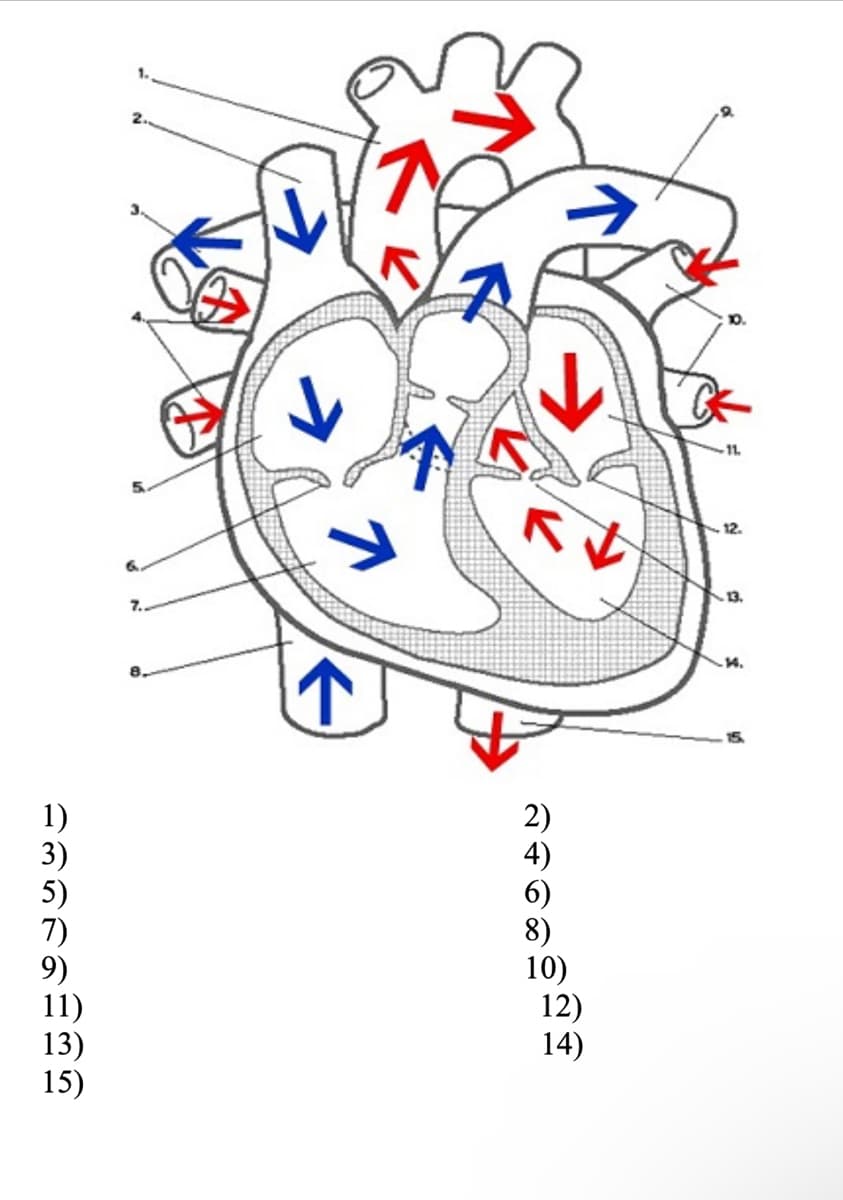 1)
3)
5)
11)
13)
15)
↓
2)
4)
8)
10)
12)
14)
..
11.
12.