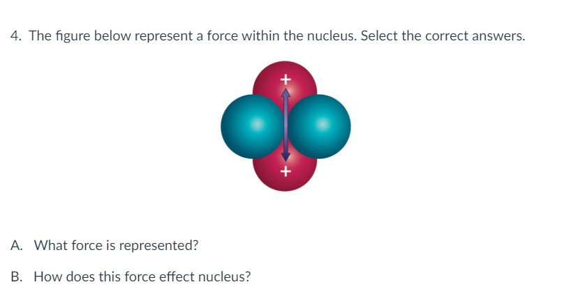 4. The figure below represent a force within the nucleus. Select the correct answers.
A. What force is represented?
B. How does this force effect nucleus?
