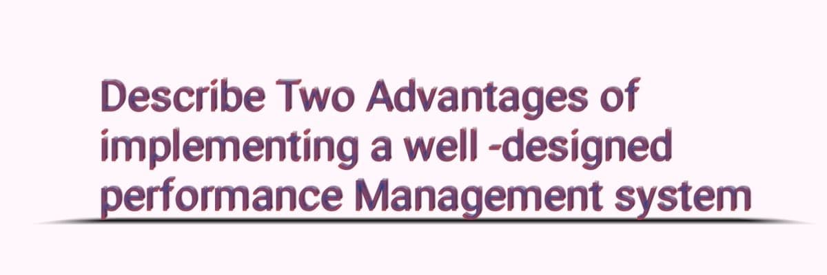 Describe Two Advantages of
implementing a well -designed
performance Management system
